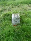 image of grave number 681970